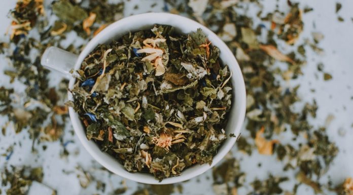 Seis cuidados no uso de plantas medicinais