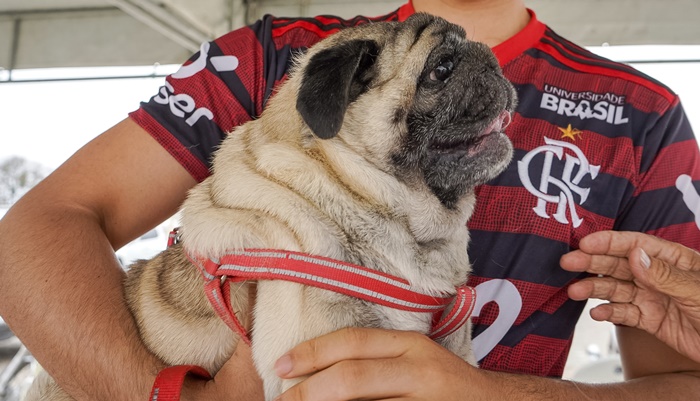 Prefeitura de Juazeiro divulga cronograma de vacinação antirrábica para esta semana