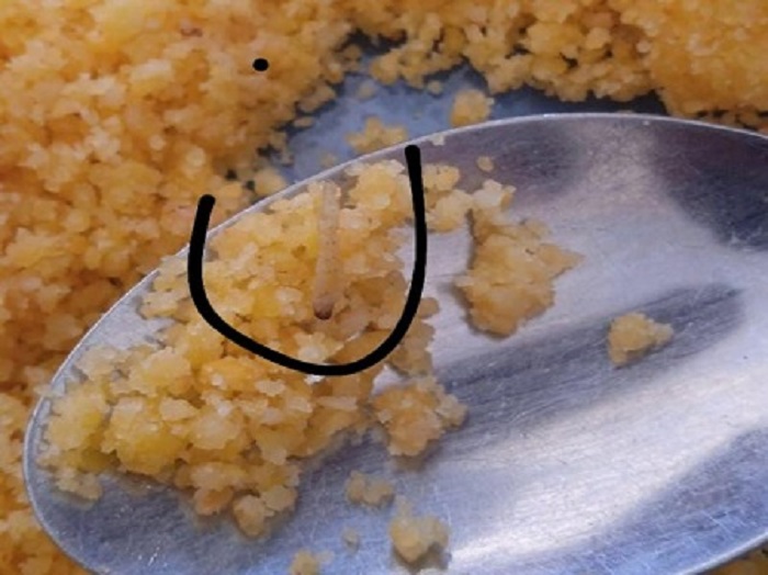 Estudantes acham larvas em merenda de escola estadual localizada em Santa Maria da Boa Vista