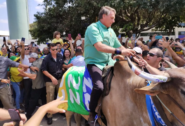 Dificuldade nas pesquisas aumenta crise na campanha de Bolsonaro e gera acusações de erro e abandono