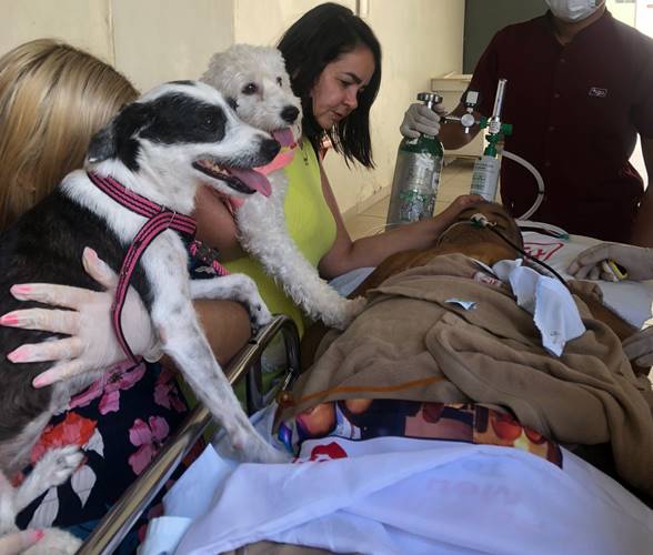 Pacientes terminais do HGU recebem tratamento humanizado: Luiz tinha um último desejo: se despedir dos seus animais de estimação