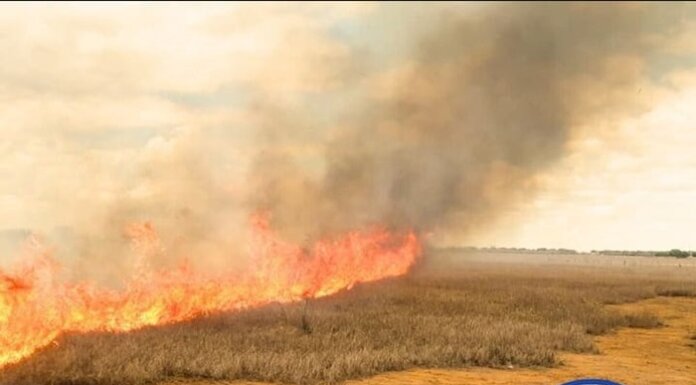 Codevasf e Distrito de Irrigação Nilo Coelho, em Petrolina (PE), orientam produtores rurais sobre perigo de queimadas irregulares