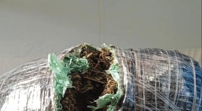 Polícia Militar prende homem em Curaçá com mochila infantil repleta de drogas em ônibus rumo a Juazeiro”