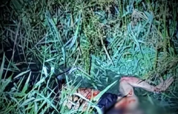 Homem é assassinado a pauladas e facadas; Suspeito é preso em flagrante