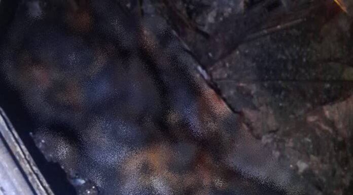 Corpo carbonizado é encontrado em veículo em chamas próximo ao Residencial Dr. Humberto, em Juazeiro