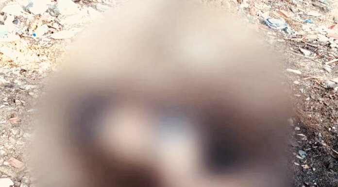 Petrolina: Mulher é encontrada morta com pés e mãos amarradas neste sábado