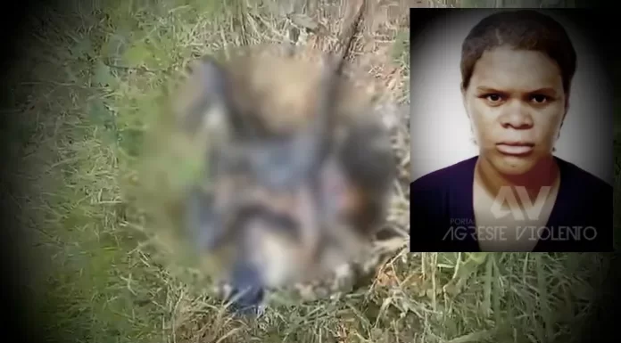 Mulher é encontrada morta em terreno Baldio