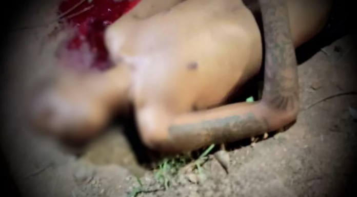 Violência: Jovem de 21 anos é morto a tiros