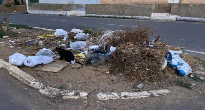 Herança maldita em Curaçá e Casa Nova