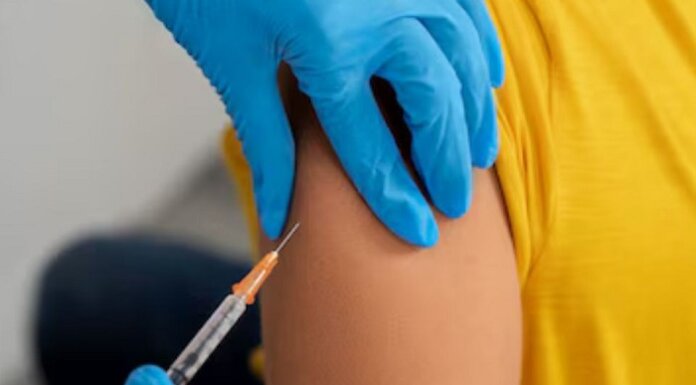 Vacina contra chikungunya mantém anticorpos após 1 ano de aplicação