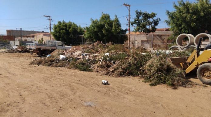 Juazeiro inicia plano emergencial de limpeza para prevenir alagamentos