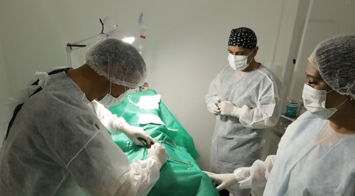 Prefeitura de Casa Nova realiza mutirão de castração de animais em parceria com ONG