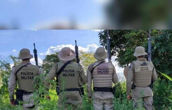 PMBA erradica mais uma plantação de maconha na zona rural de Curaçá