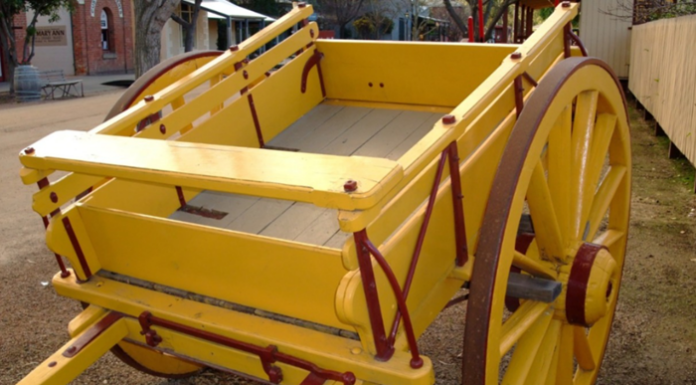 Prefeitura convoca carroceiros para emplacar e credenciar carroças de tração animal a partir desta sexta (25)