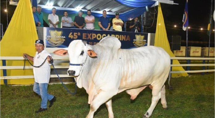 Maior feira agropecuária da Mata Norte, ExpoCarpina começa nesta quarta-feira
