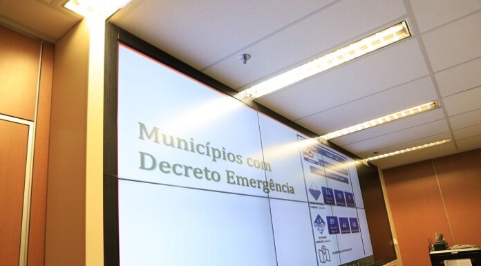 Estado inicia cadastro para distribuição de 250 mil sacas de milho para alimentação animal nos municípios afetados pela seca