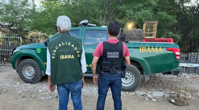 Polícia Federal descobre centro ilegal de animais silvestres em Juazeiro