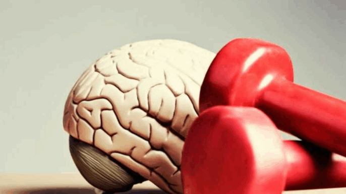 ARTIGO: Como a atividade física protege e estimula o cérebro