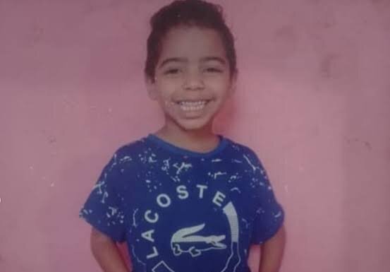 Ouricuri: Menino de 8 anos é encontrado morto após ataque de abelhas