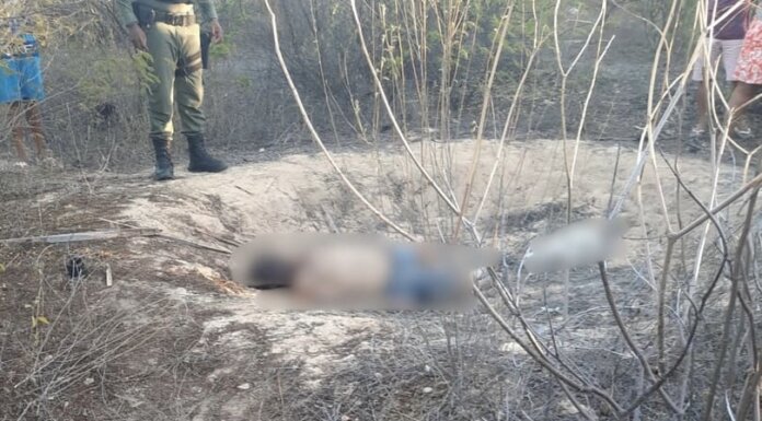 Homem e cachorro são encontrados mortos em matagal