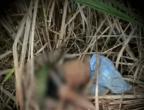 Homem é encontrado morto em matagal