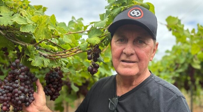 Jorge Garziera: Um baluarte de Lagoa Grande, Pernambuco e do Brasil será homenageado com Título de Cidadão Pernambucano