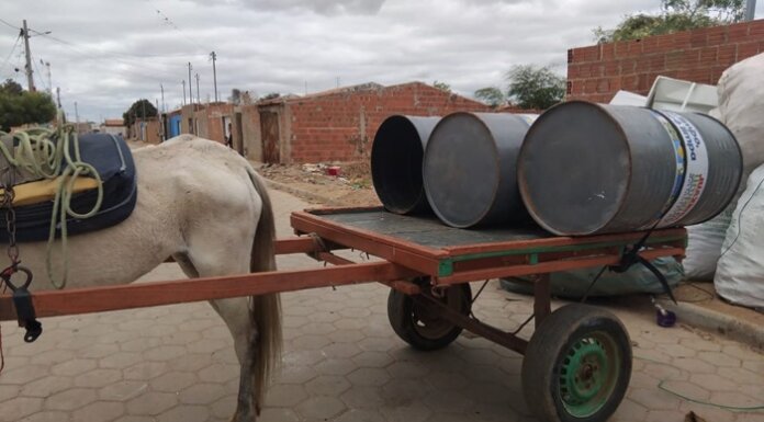 Guarda Civil de Juazeiro recupera tonéis de lixo furtados no Centro da cidade