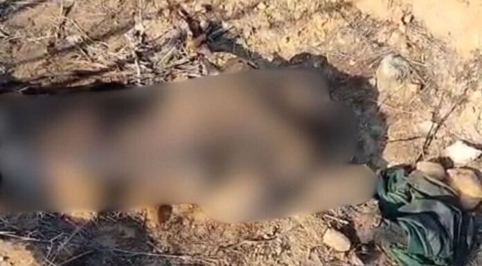 Ossada humana é encontrada em área ribeirinha de Petrolina