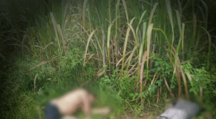 Corpos de dois homens são encontrados após execução