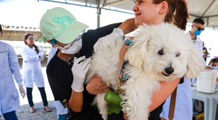 Prefeitura de Juazeiro segue com Campanha de Vacinação Antirrábica 2025
