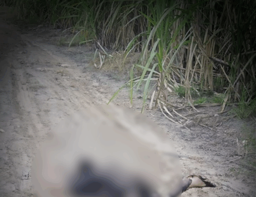 Cena brutal: Corpo carbonizado é encontrado em estrada