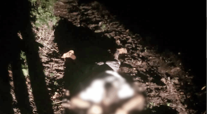 Jovem de 19 anos é executado com as mãos amarradas