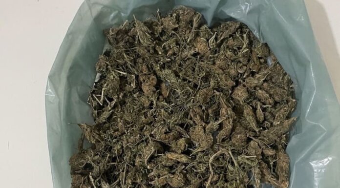 Homem é preso em flagrante por tráfico de drogas em Curaçá