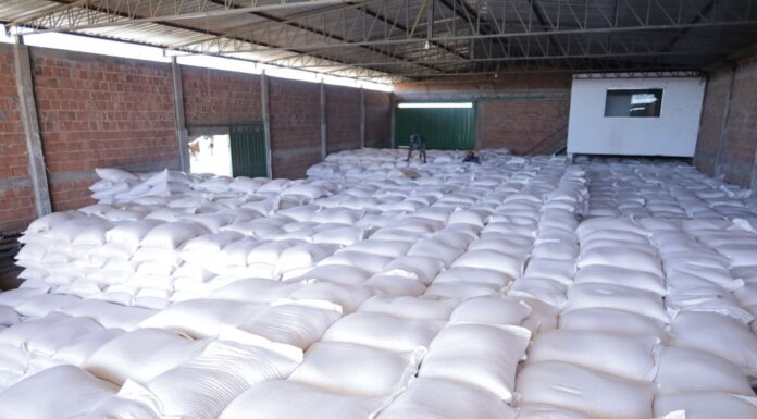 Mais de 3 mil agricultores familiares são beneficiados com entrega de milho em Casa Nova