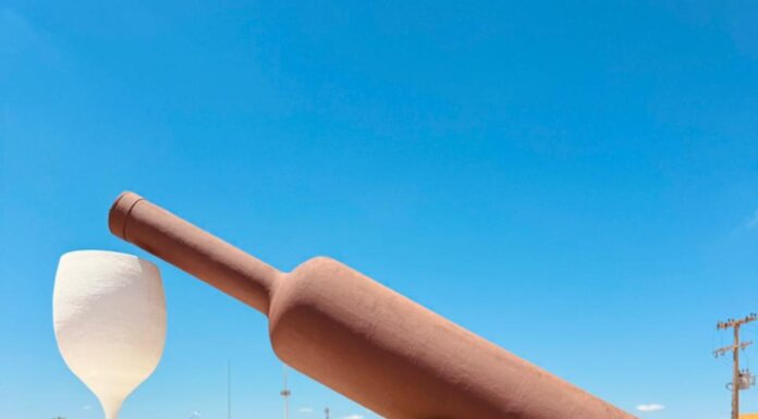 Nena Gato declara apoio a Marcone Santana e fortalece grupo político em Lagoa Grande