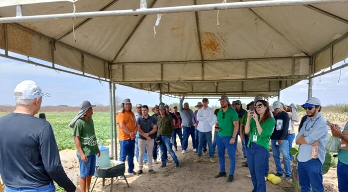Casa Nova fortalece a agricultura com capacitação voltada para produtores rurais