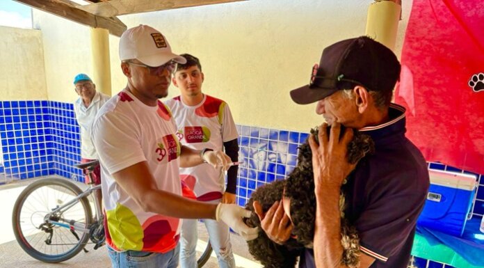 Mais de 5,1 mil cães e gatos foram vacinados em Lagoa Grande durante a Campanha de Vacinação Antirrábica