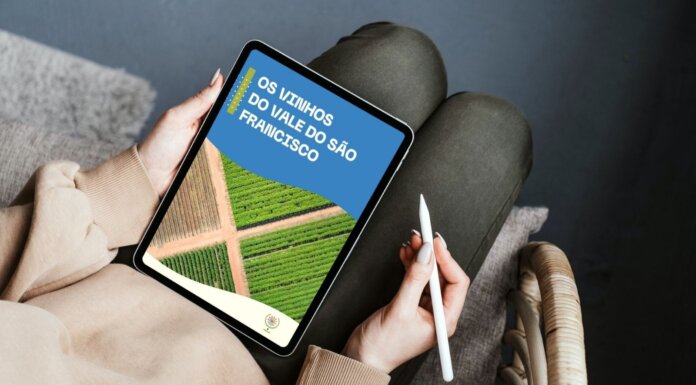 Instituto lança ebook gratuito sobre os vinhos do Vale do São Francisco