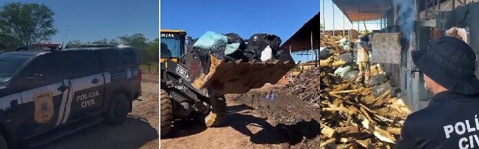 Polícia Civil incinera cerca de 4,5 toneladas de drogas em Xique-Xique