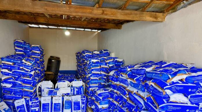 IPA e Prefeitura de Lagoa Grande distribuem mais de 9 toneladas de sementes para fortalecer a agricultura familiar