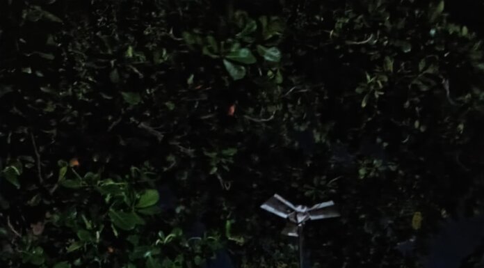 Praça do bairro Santo Antônio está há mais de 15 dias sem iluminação e morador cobra providências da secretaria de serviços públicos