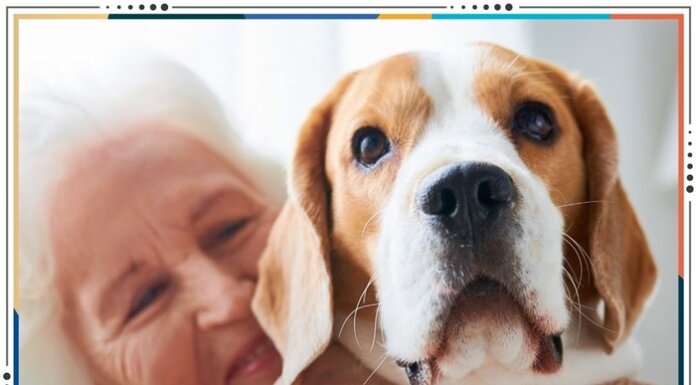 Artigo: Cães podem ajudar em compreensão e enfrentamento do Alzheimer