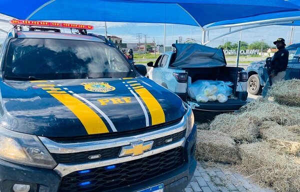 PRF apreende mais de 85 kg de drogas escondidos sob carga de feno na BR-110, em Paulo Afonso (BA)