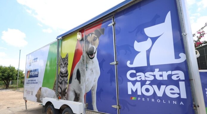 Castramóvel na rua: Mais de 600 cães e gatos já foram castrados em Petrolina este ano