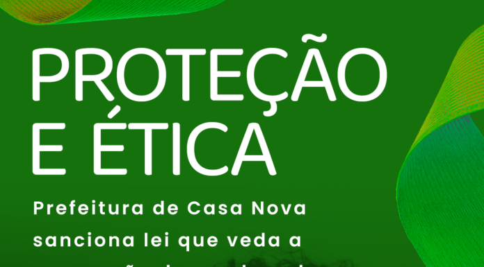Prefeito Anisio Viana sanciona lei que proíbe nomeação e contratação de condenados por violência contra a mulher em Casa Nova