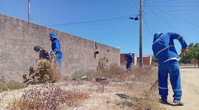 Vilas e Povoados da zona rural de Petrolina recebem serviços de limpeza