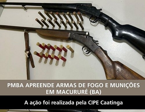 Polícia apreende armas de fogo e munições na zona rural de Macururé (BA)