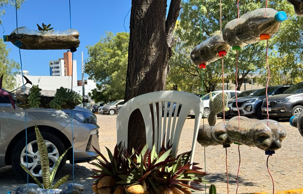 No HU-Univasf, beleza e leveza fazem parte de jardim feito com materiais recicláveis