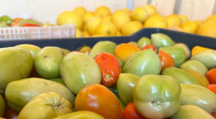 Doação de produtores rurais fortalece ações da Prefeitura de Lagoa Grande no combate à insegurança alimentar