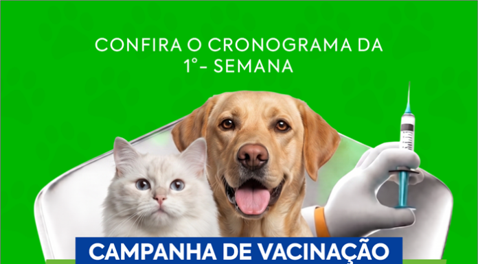 Casa Nova inicia campanha de vacinação antirrábica para cães e gatos nesta terça-feira (21)